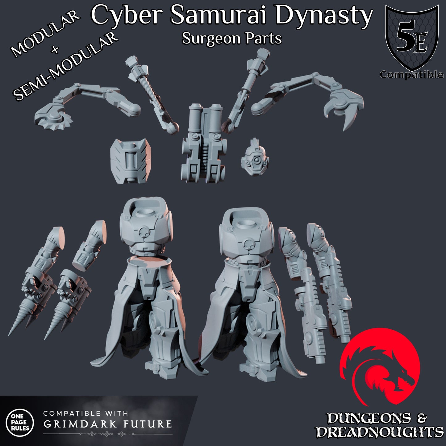 Cyber Samurai Surgeon (1 Model)